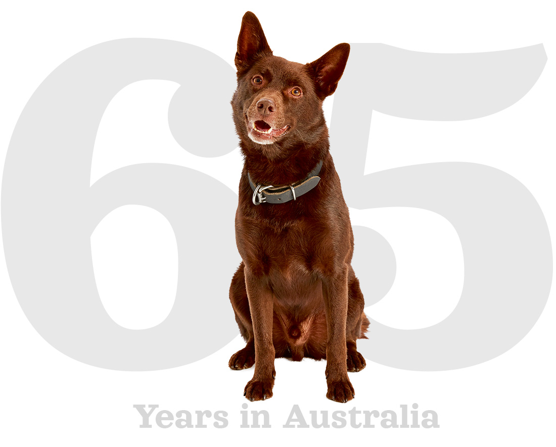 Rover 65 Years in Australia